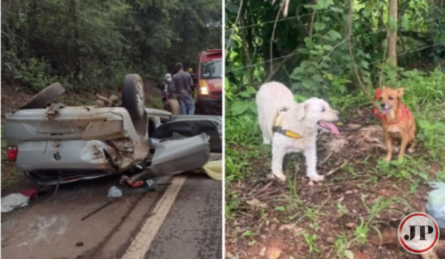 Jornal Populacional Casal Morre Ap S Carro Capotar E Cachorros Que